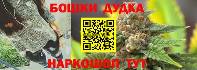 спиды Аша