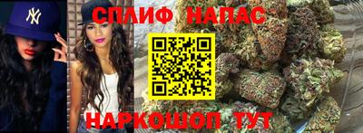 спиды Аша