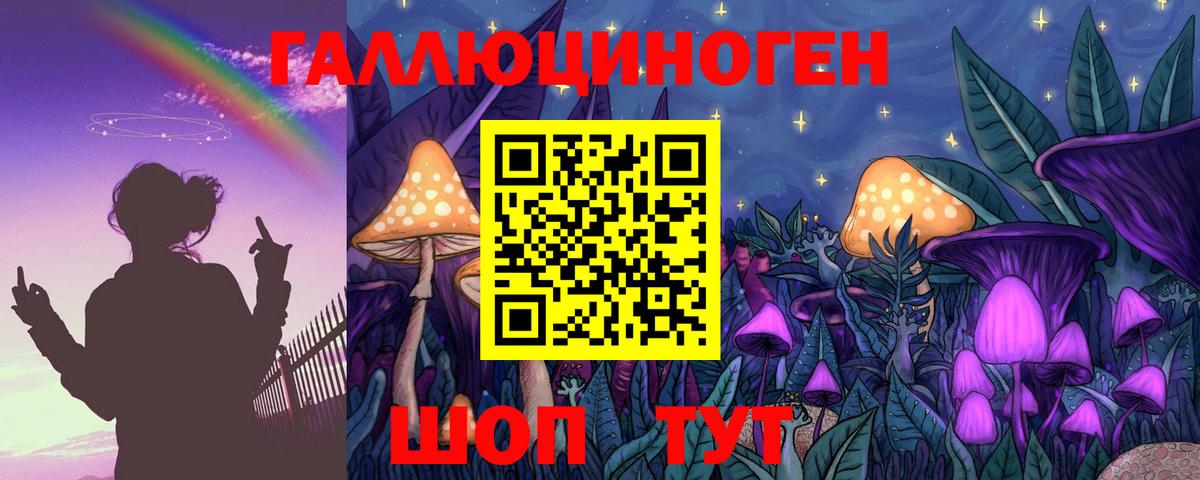 Сальск  Псилоцибиновые грибы Psilocybe  Вход с VPN 