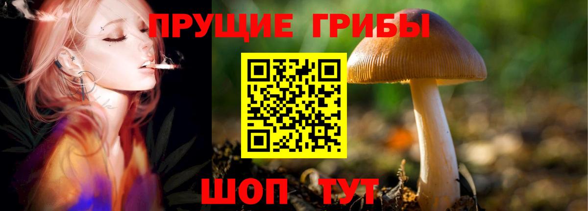 Псилоцибиновые грибы MAGIC MUSHROOMS Сальск